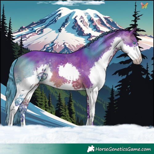 Horse Color:Watercolor White Spotted Brown Splash Tobiano