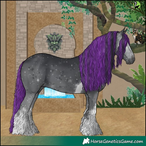 Horse Color:Painted White Spotted Black Tobiano