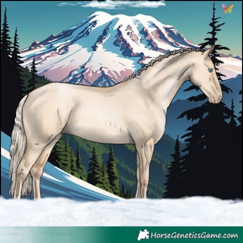 Horse Color:White Spotted Gold Cream Champagne Pearl Dun 