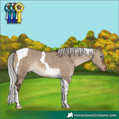 Horse Color:Silver Brown Dun Tobiano Appaloosa Rabicano 