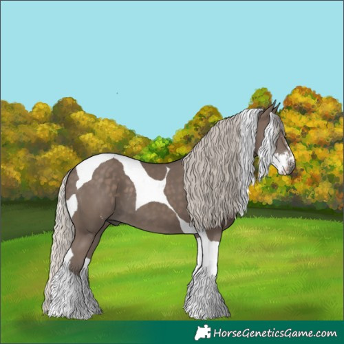 Horse Color:Silver Black Sabino Tobiano