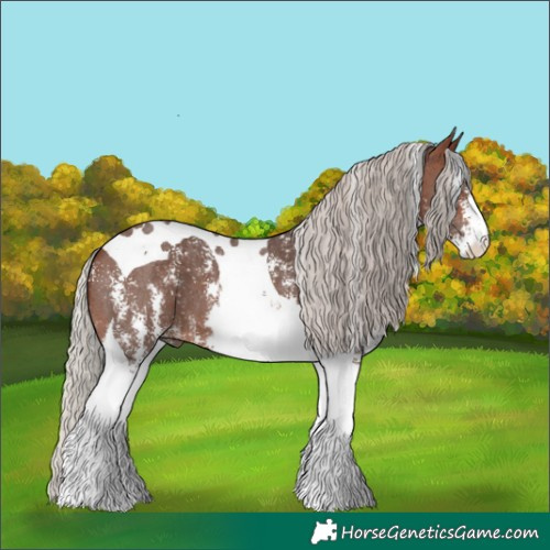 Horse Color:Silver Brown Sabino Tobiano