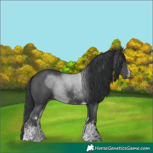 Horse Color:Black Sabino Tobiano
