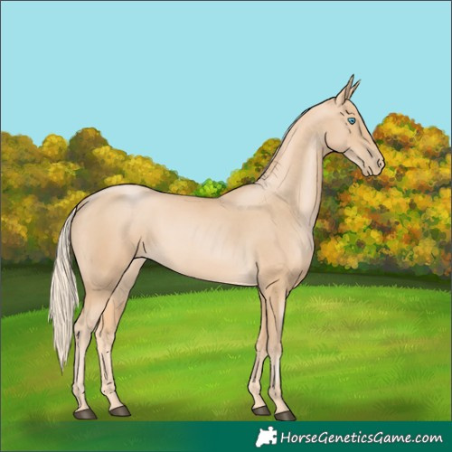Horse Color:Palomino Pearl