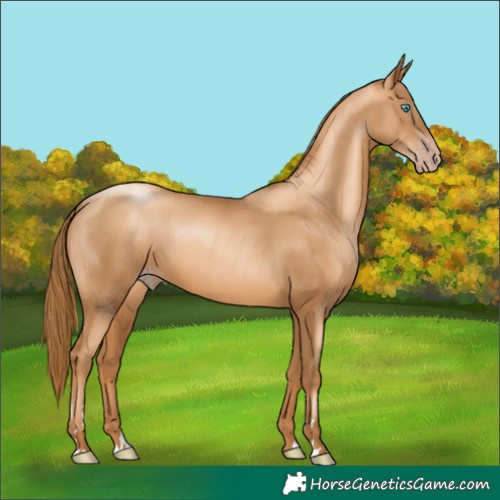 Horse Color:Gray Gold Champagne Pearl 