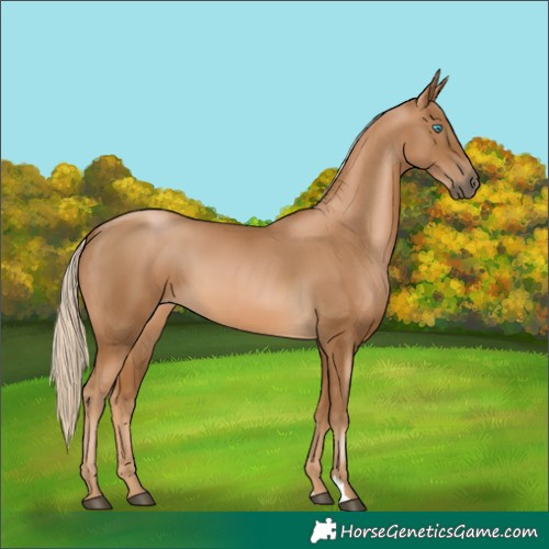 Horse Color:Gray Palomino Pearl