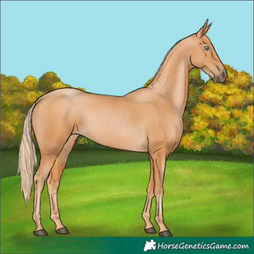 Horse Color:Gray Palomino Pearl 