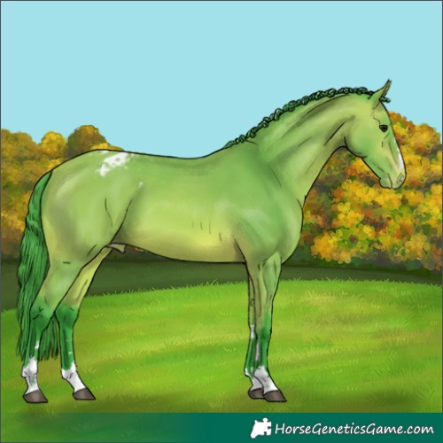 Horse Color:Watercolor Bay Appaloosa 