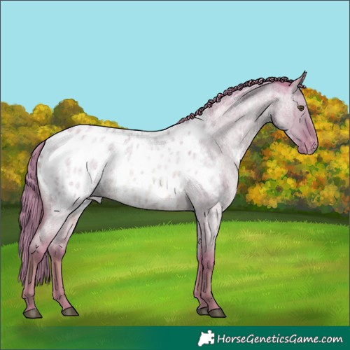 Horse Color:Watercolor Red Dun Roan Blanket Brindle