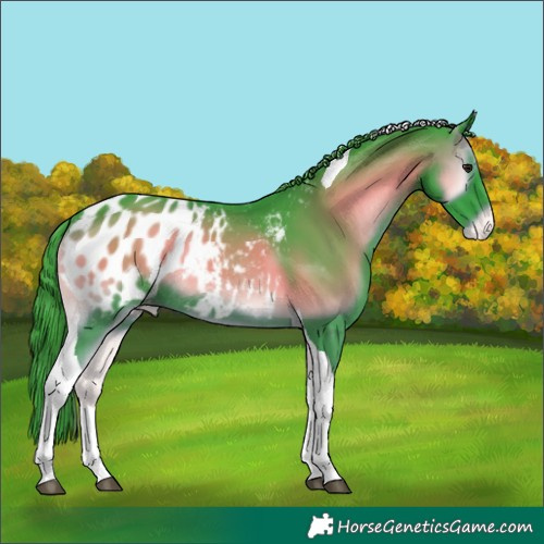 Horse Color:Watercolor Blue Onyx Tobiano Blanket Rabicano 