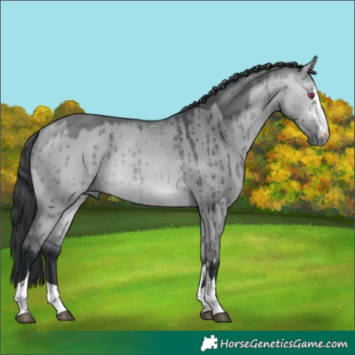 Horse Color:Bay Chinchilla Dun Brindle