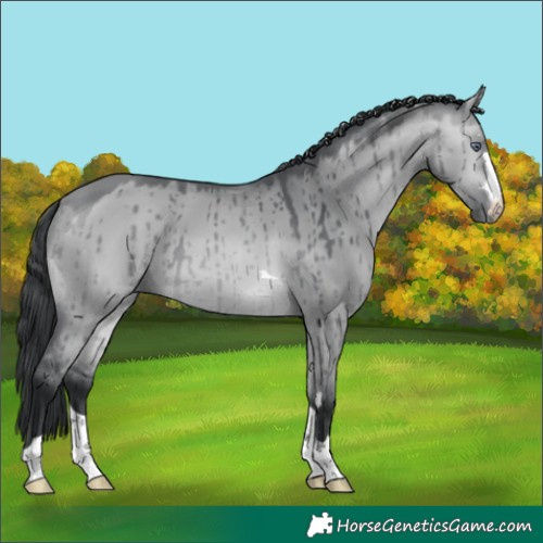 Horse Color:Bay Chinchilla Dun Brindle 