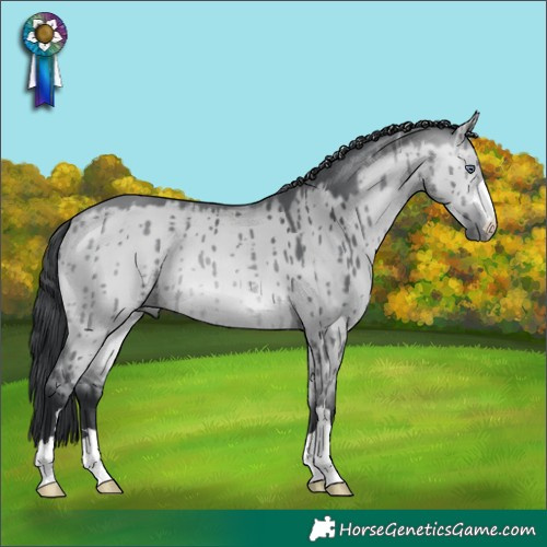Horse Color:Bay Chinchilla Dun Brindle