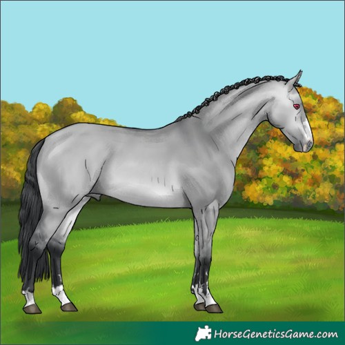 Horse Color:Bay Chinchilla Dun