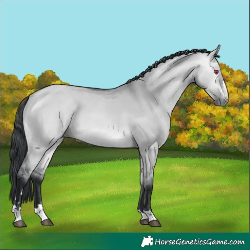 Horse Color:Bay Chinchilla Dun 