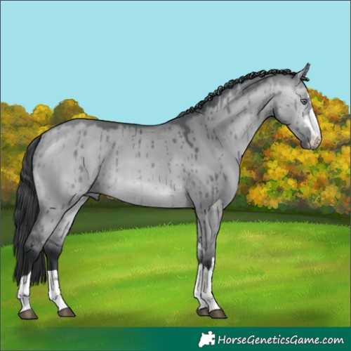 Horse Color:Bay Chinchilla Dun Brindle