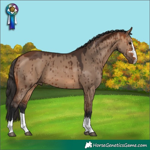Horse Color:Bay Dun Brindle 