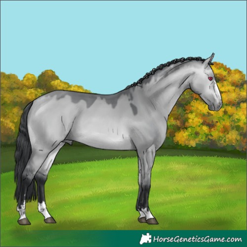 Horse Color:Bay Chinchilla Dun 
