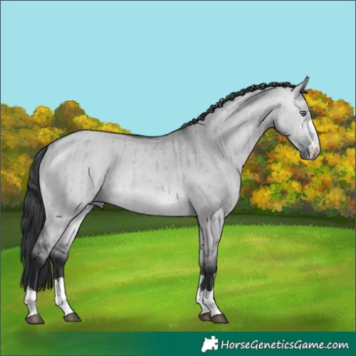 Horse Color:Bay Chinchilla Dun Brindle