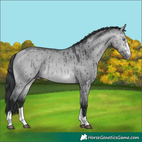 Horse Color:Bay Chinchilla Dun Brindle