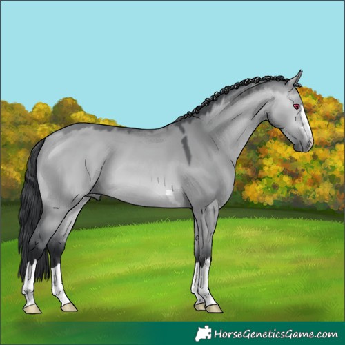 Horse Color:Bay Chinchilla Dun