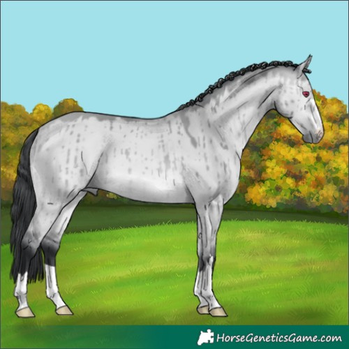 Horse Color:Bay Chinchilla Dun Brindle 