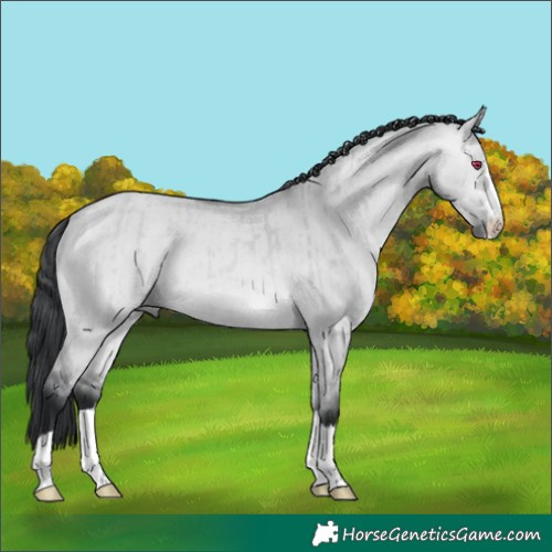 Horse Color:Bay Chinchilla Dun Brindle