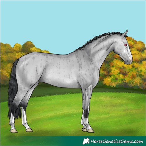 Horse Color:Bay Chinchilla Dun Brindle 