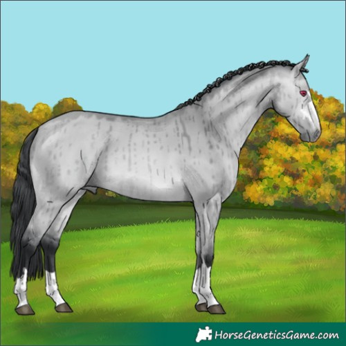 Horse Color:Bay Chinchilla Dun Brindle 