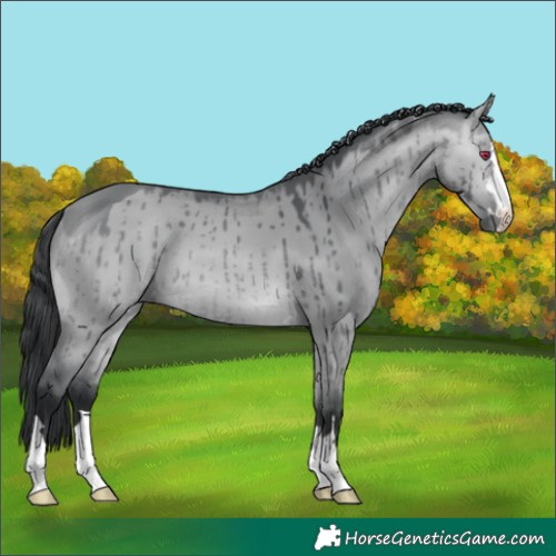 Horse Color:Bay Chinchilla Dun Brindle