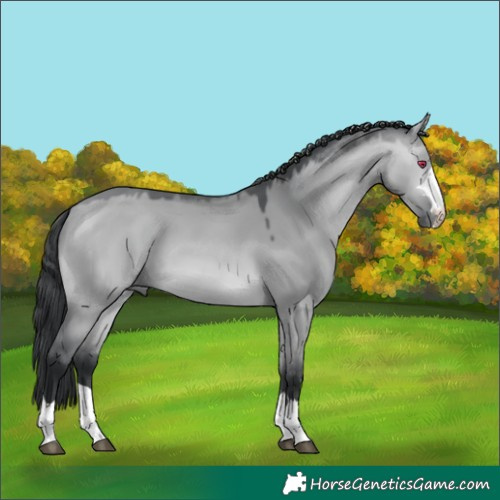 Horse Color:Bay Chinchilla Dun
