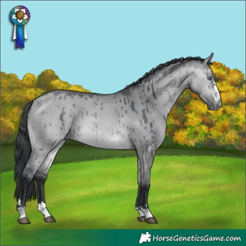 Horse Color:Bay Chinchilla Dun Brindle 