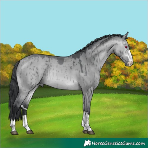 Horse Color:Bay Chinchilla Dun Brindle
