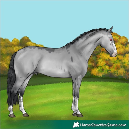 Horse Color:Bay Chinchilla Dun