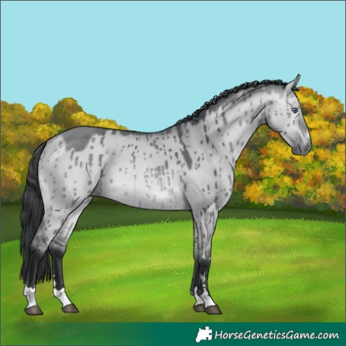 Horse Color:Bay Chinchilla Dun Brindle 