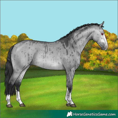 Horse Color:Bay Chinchilla Dun Brindle 