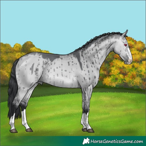 Horse Color:Bay Chinchilla Dun Brindle 