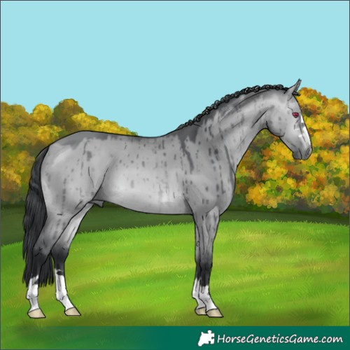 Horse Color:Bay Chinchilla Dun Brindle 