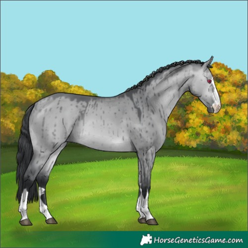 Horse Color:Bay Chinchilla Dun Brindle