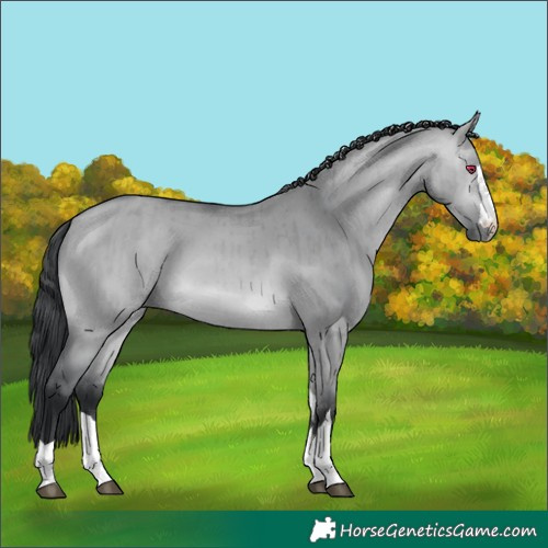 Horse Color:Bay Chinchilla Dun Brindle