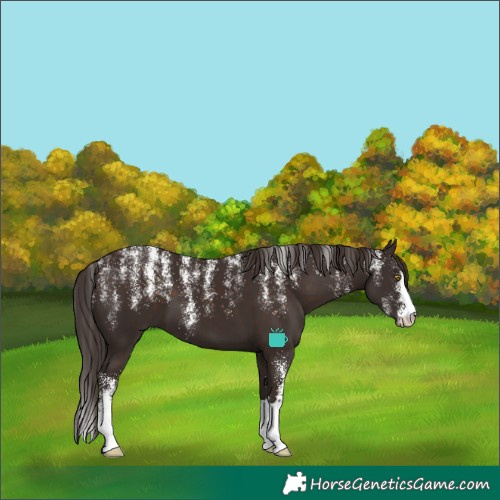 Horse Color:Powder White Liver Chestnut