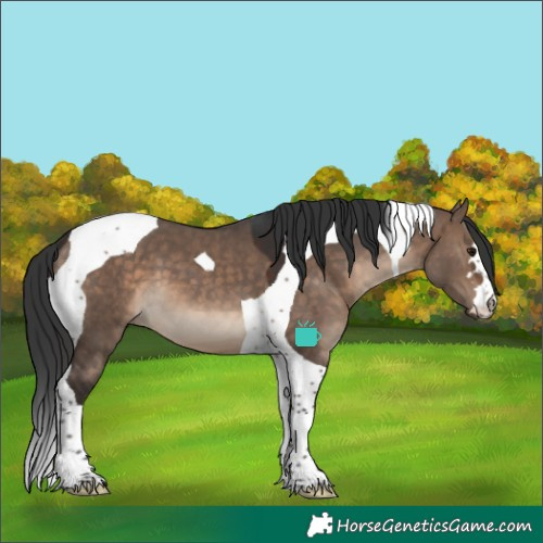 Horse Color:Brown Dun Tobiano