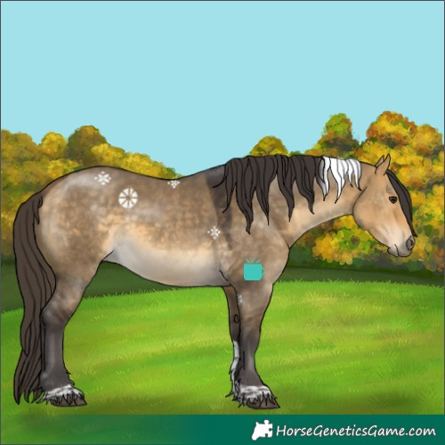 Horse Color:Buckskin Dun Tobiano 