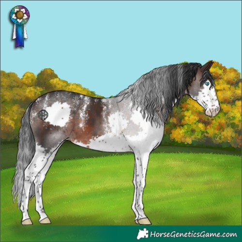 Horse Color:Powder White Brown Splash