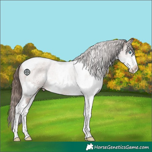 Horse Color:Liver Chestnut Splash Tobiano Varnish 