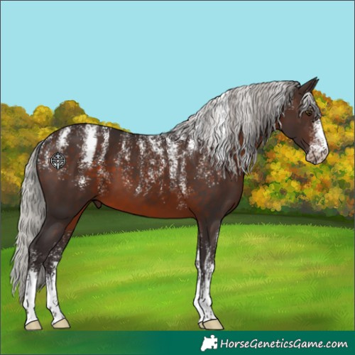 Horse Color:Powder White Silver Brown