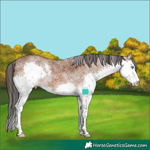 Horse Color:Painted White Spotted Bay Splash Varnish 