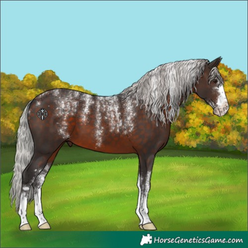 Horse Color:Powder White Silver Brown