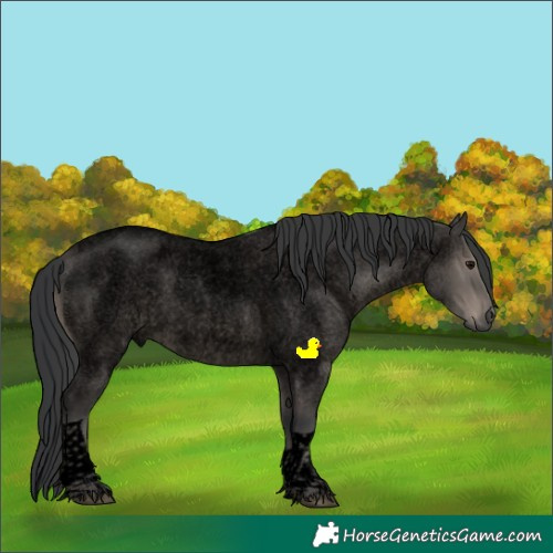 Horse Color:Void Grullo Roan Tobiano Rabicano 