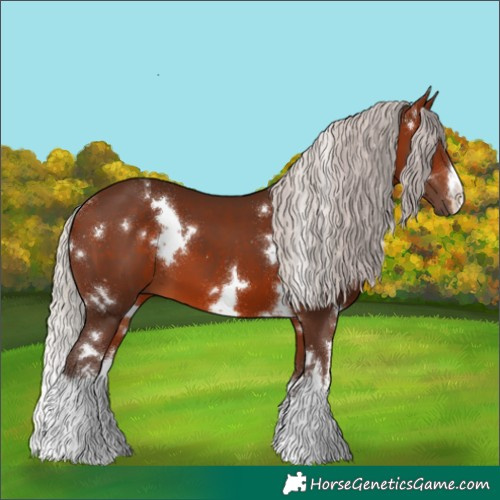 Horse Color:White Spotted Silver Brown